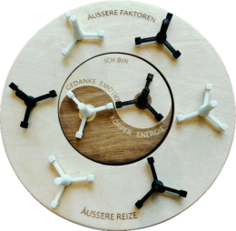 BILD POLARITY-BALANCE-MODELL